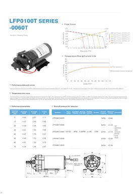Насос доставки LEFOO 12V On Demand