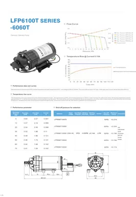 Насос доставки по запросу серии LEFOO LFP6060T