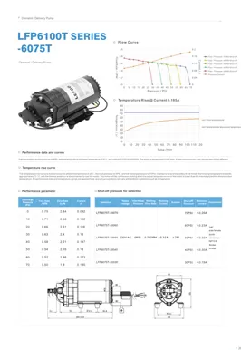 Насос доставки по запросу серии LEFOO LFP6075T