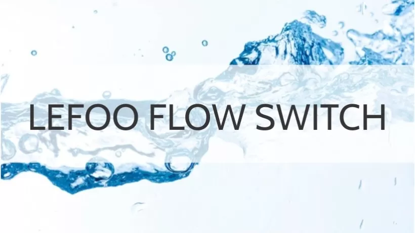 Lefoo Flow Switch